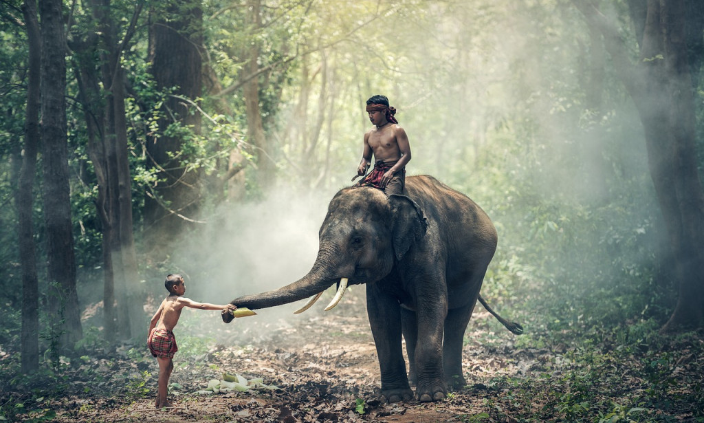 Title: Investigating the Rich Woven artwork of Indian Culture**