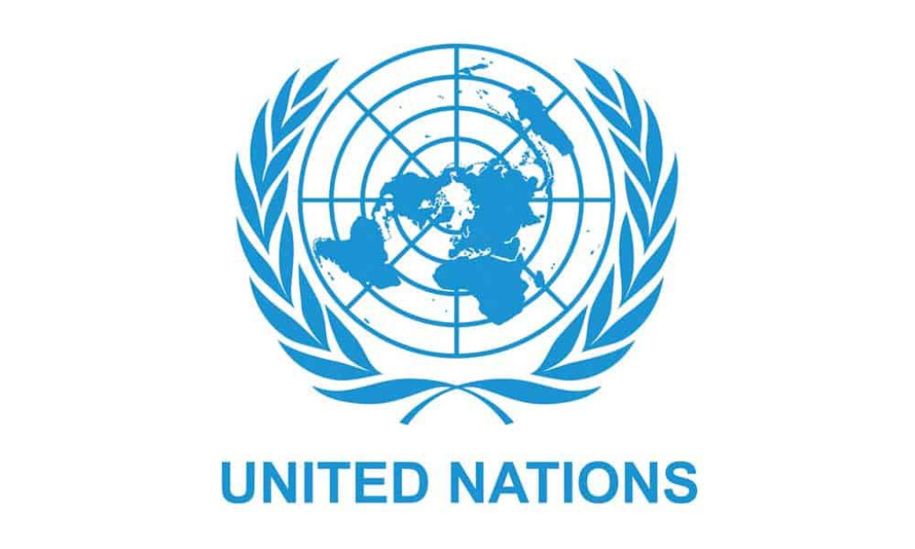 The Crucial Role of the United Nations in the Modern World, world organization