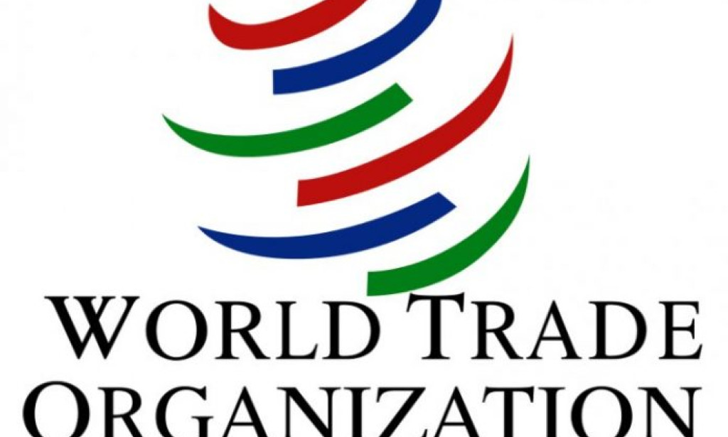 Navigating the Complexities of the World Trade Organization (WTO)