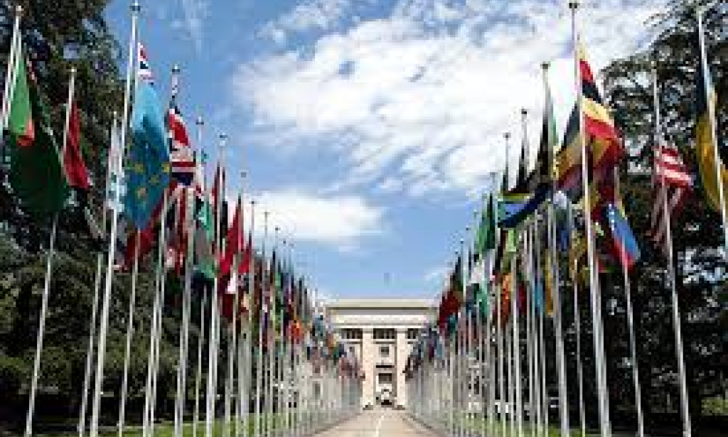 Food and diet dilemma,Alex, a fervent advocate for a plant-based diet, believed in the ethical and environmental benefits of avoiding animal products. "Choosing a plant-based diet