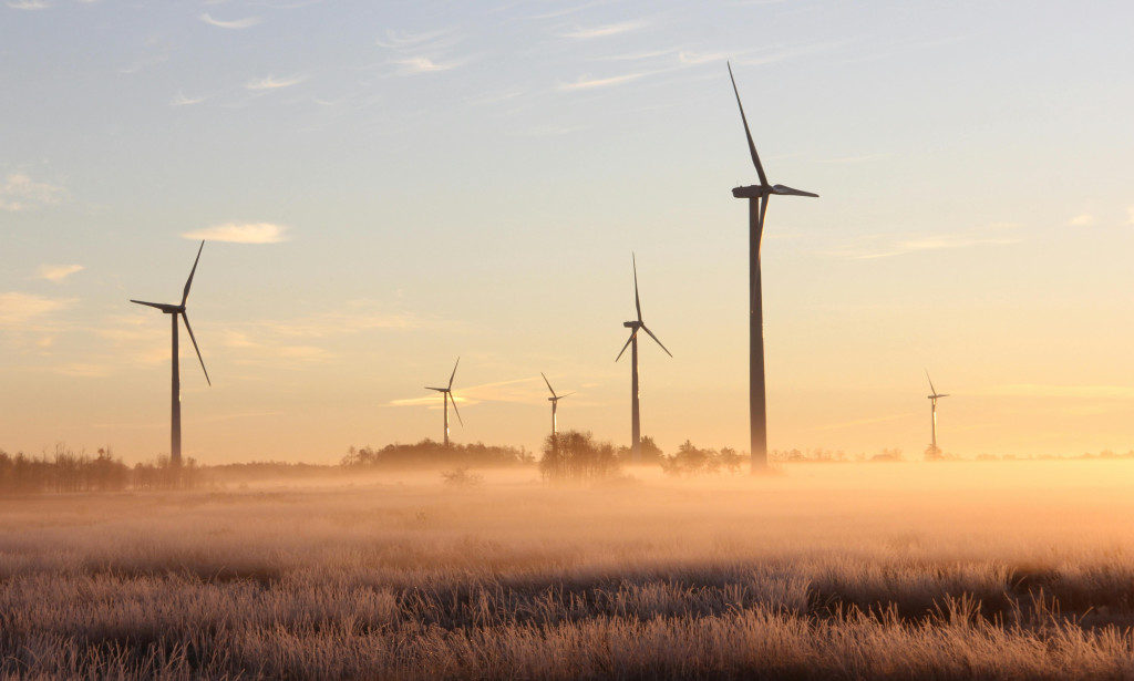 The Promise of Sustainable Technology: Balancing Innovation and Environmental Impact