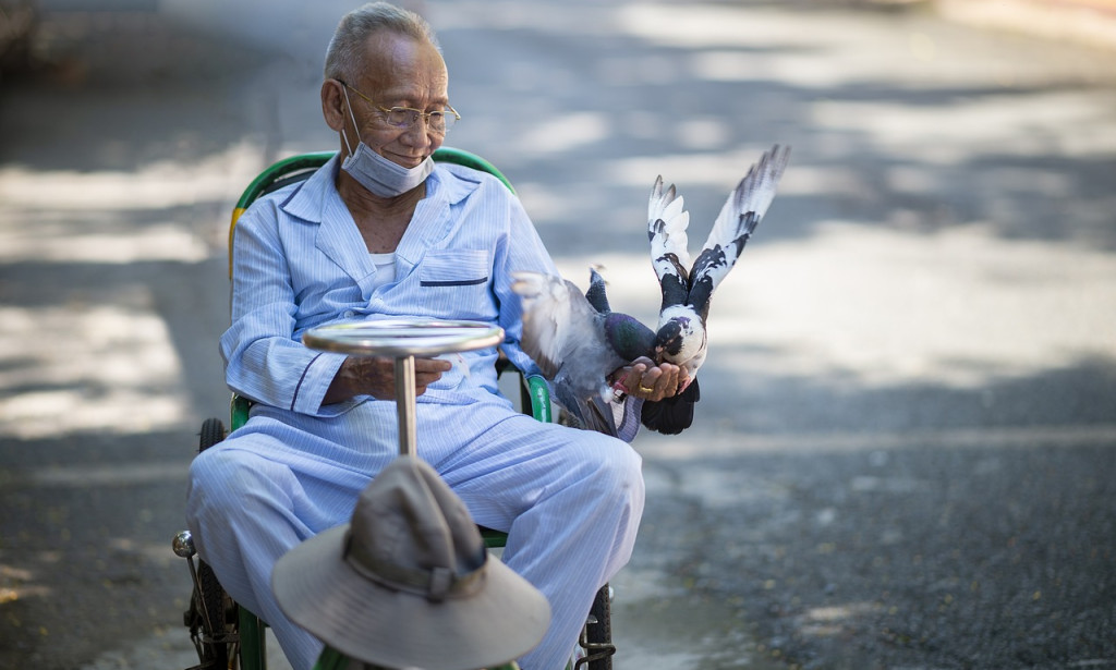 Sole Possession: A Free Venture,Benefits of Sole Proprietorship,Challenges of Sole Proprietorship