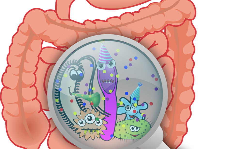 Fruitful Free entrails Treatment for Canines: Expert Tips and Philosophies to Direct The runs in Canines Presentation: