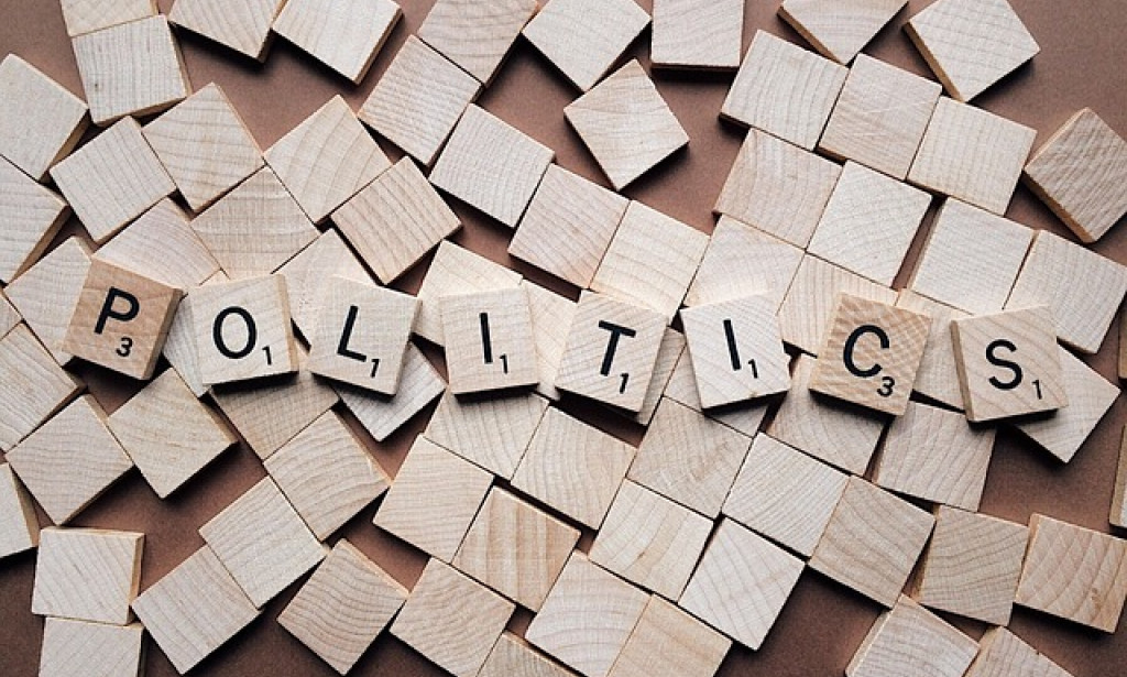 Exploring Political Science: Foundations, Roles, and Future Challenges