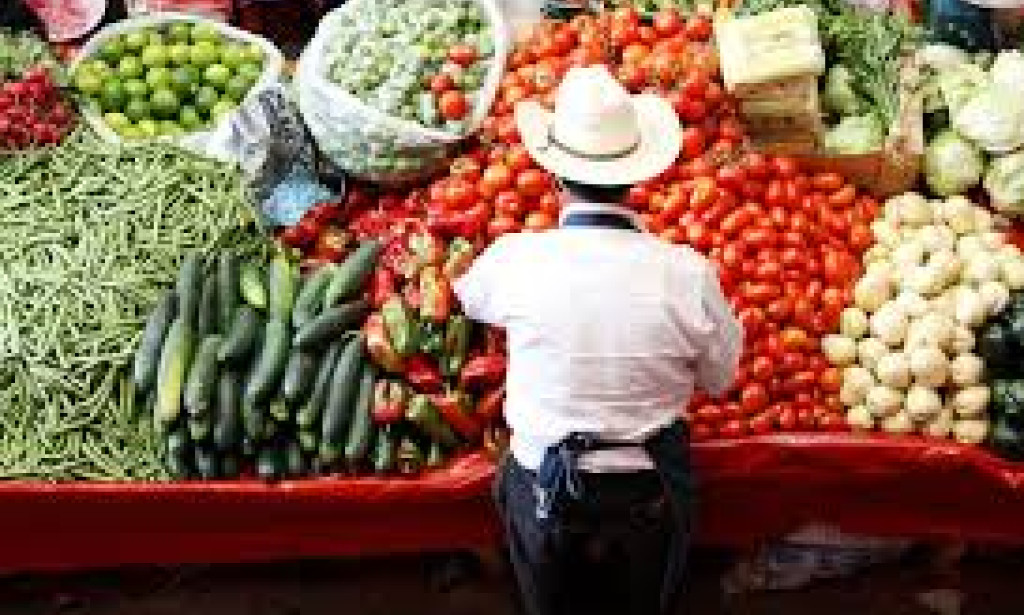 Achieve a Healthy Lifestyle: Tips for Wellness and Balanced Living