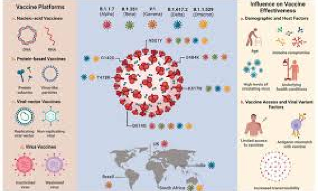 Coronavirus Exploration and Immunization Updates: Your Complete Guide to COVID-19 Research and Vaccines