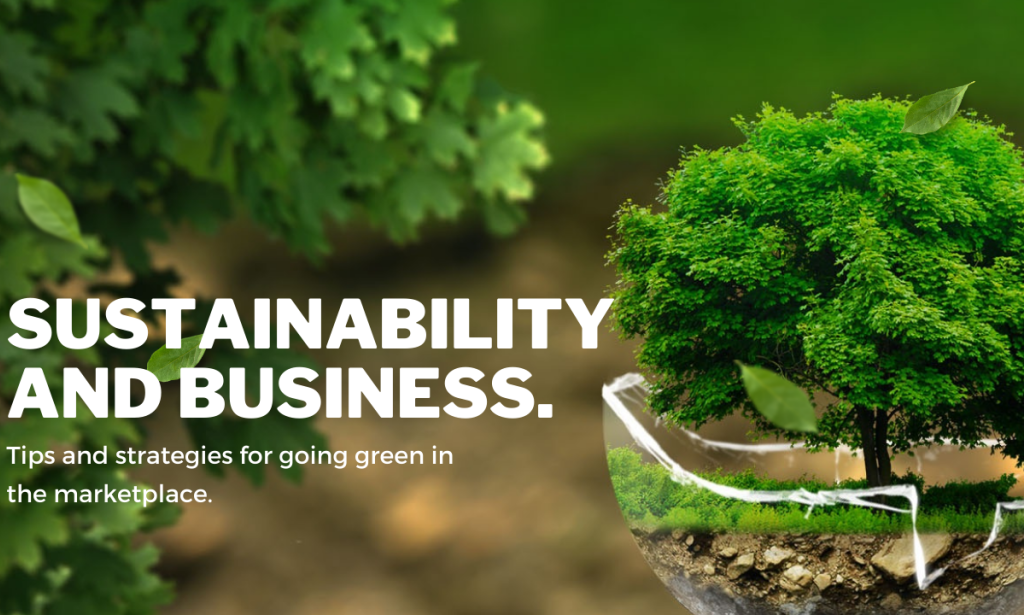 The Importance of Sustainability in Driving eCommerce Growth