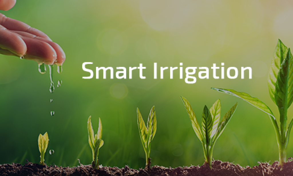 Watering Smart: How Intelligent Irrigation Systems Transform Landscapes