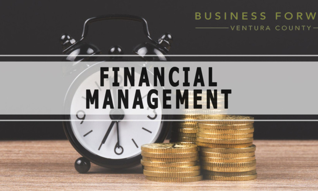 Financial Fundamentals for Entrepreneurs: Making Your Money Work