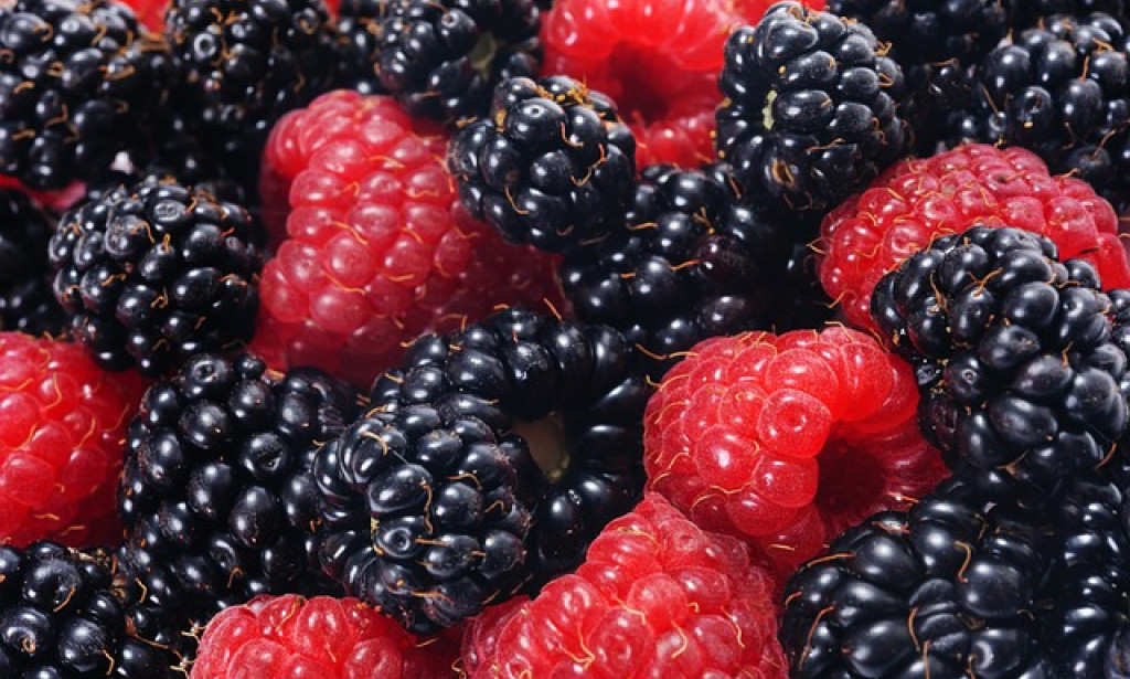 From Blood Clotting to Bone Health: The Role of Vitamin K in Nutrition