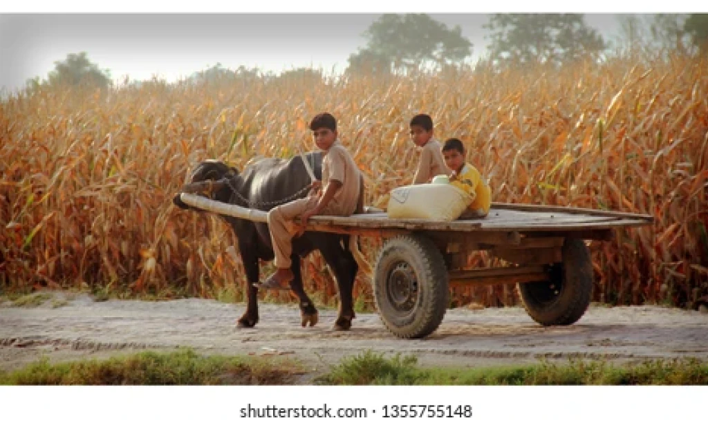 Rural Community: A Brief Overview of Investor's Life in the Interior Villages