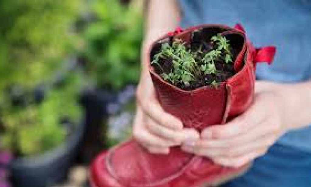 The Rise of Sustainable Fashion: Innovations and Impact"