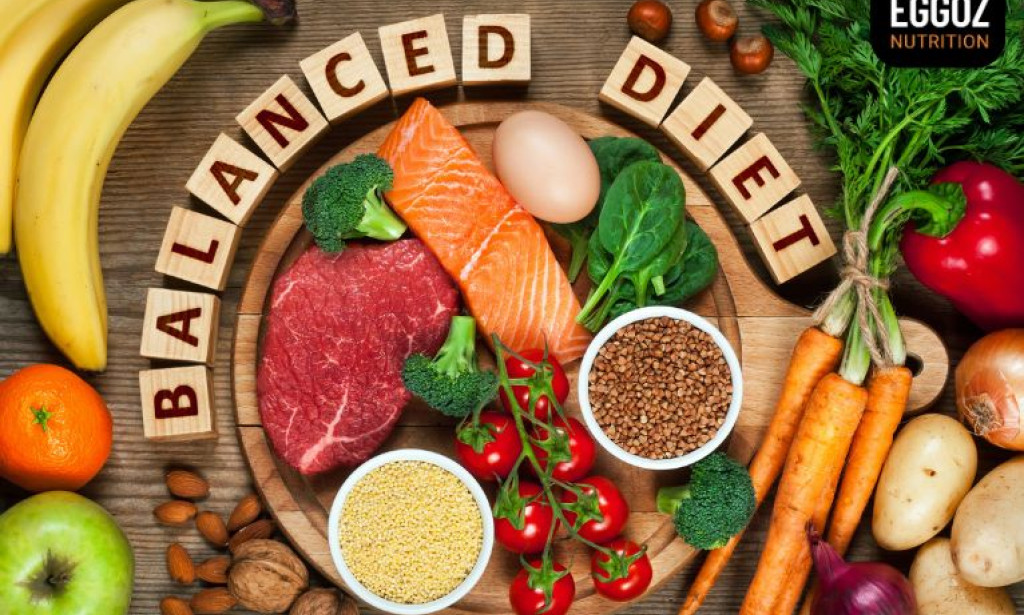 From Calories to Nutrients: Navigating the World of Diets and Nutrition