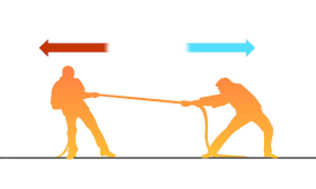 The Art of Strategic Growth: Lessons from Successful Enterprises