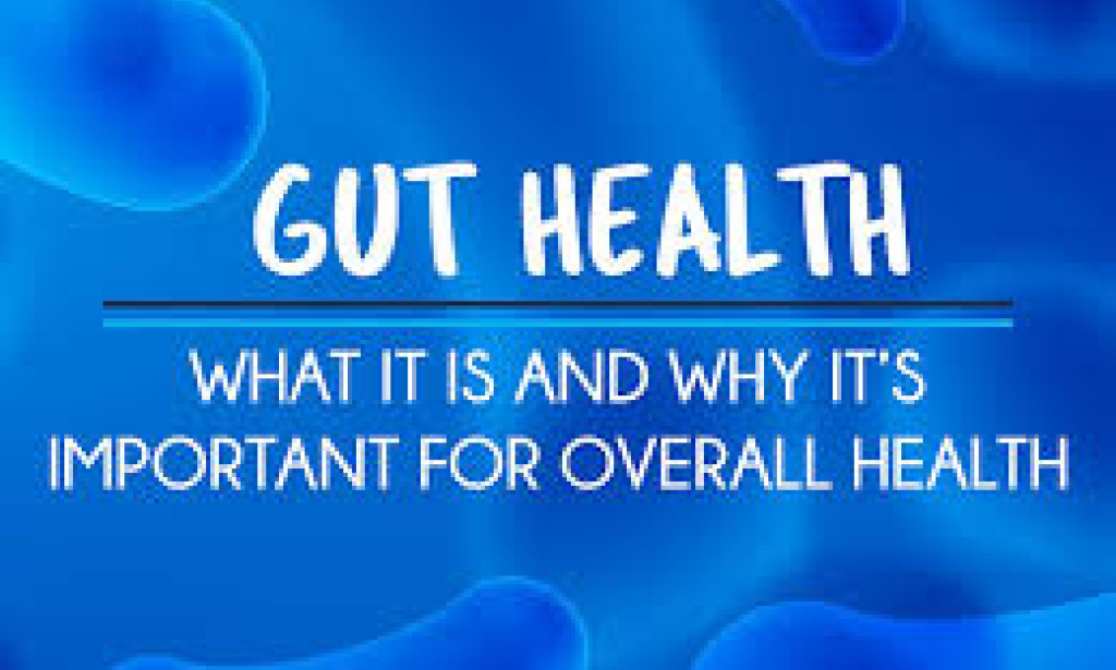 Gut Health Explained: Why Your Digestive System Matters Most