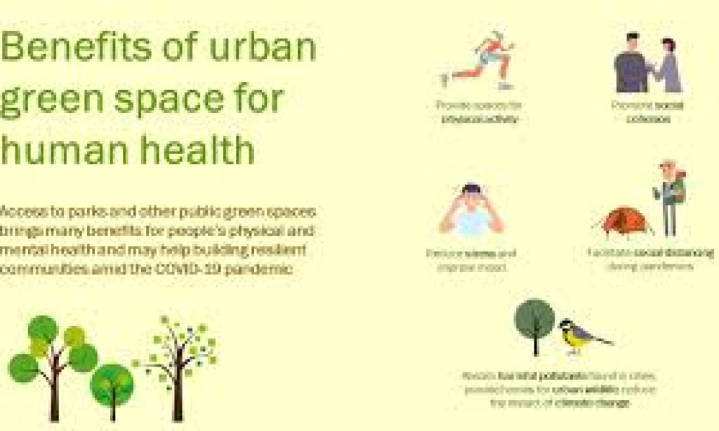 The Impact of Urban Living on Health and How to Mitigate Its Effects