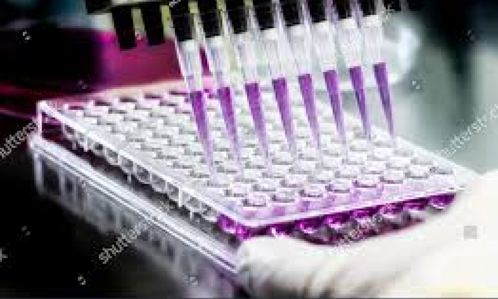 Gel Electrophoresis: Separating DNA, RNA, and Proteins Precisely