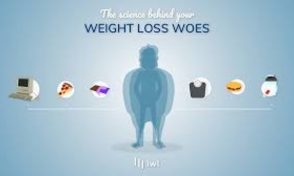 A Definitive Manual for Effective and Sustainable Weight Loss Strategies to Achieve Your Goals