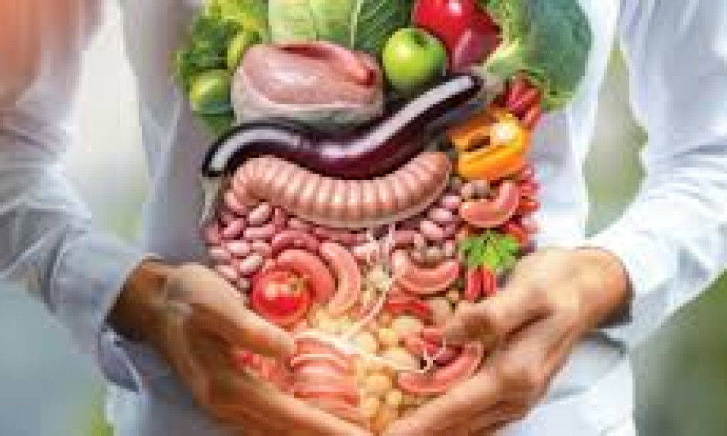 The Gut-Health Connection: How Your Digestive System Impacts Your Well-Being