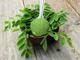 How to use moringa for maximum health ...