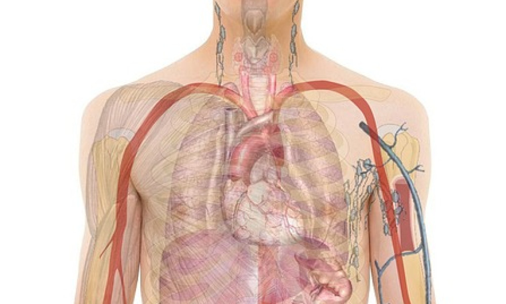 The Underpinning of Human Advancement Science is a precise endeavor