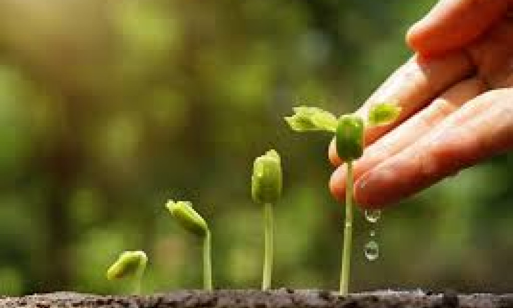 The journey of self improvement :-small steps,big changes.but about progress