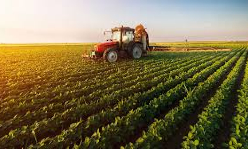 Agriculture plays a vital role in Pakistan’s economy, contributing around 23% to the country’s GDP