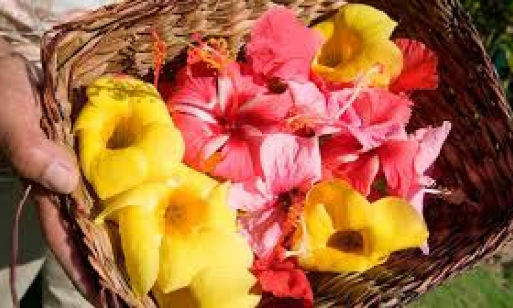 Flowers: Nature's Beautiful Creations That Captivate Us colors, intricate shapes,