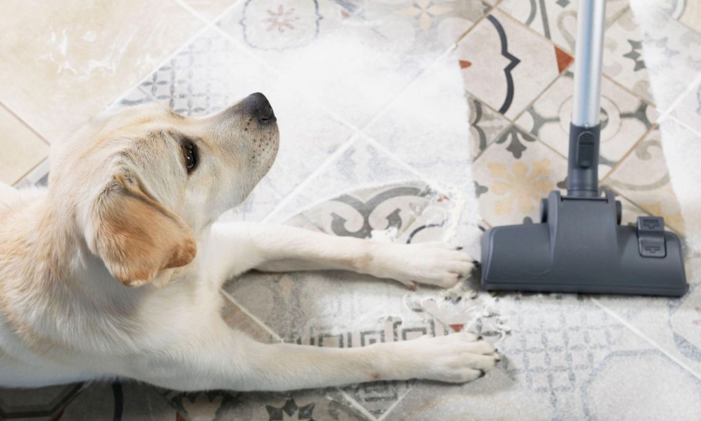 Best Vacuum Cleaners for Pet Owners: Keep Your Home Fur-Free