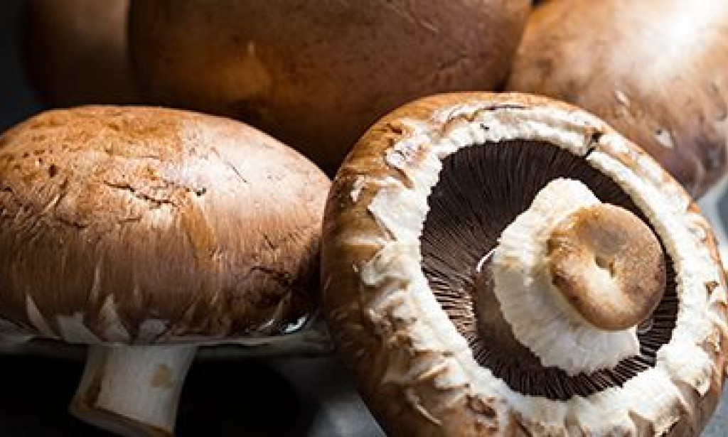 "The Rise of Plant-Based Medicine in 2025"viable treatment option.