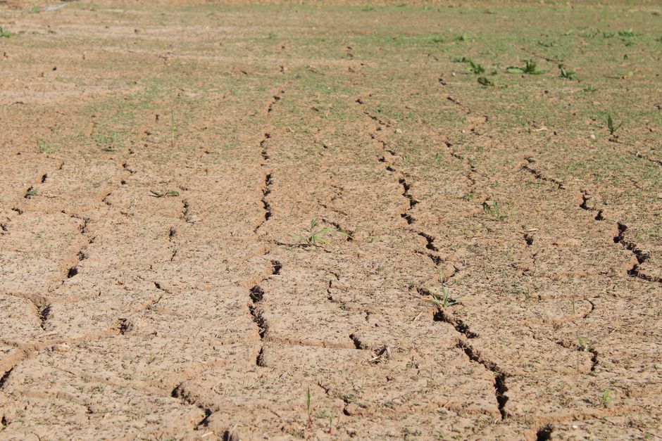 cracked, dry earth in a barren field