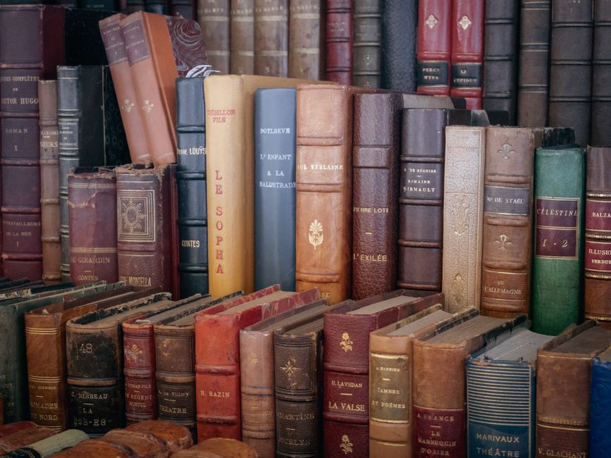 Explore a diverse collection of vintage leather-bound books featuring various titles and classic designs.