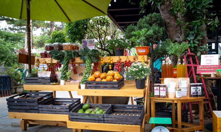 The Best Vegetables and Fruits to Improve Your Health and Nutrition