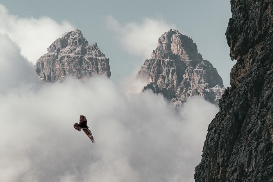 Breathtaking view of the Dolomites with a bird soaring through misty clouds, creating a dramatic natural scene.