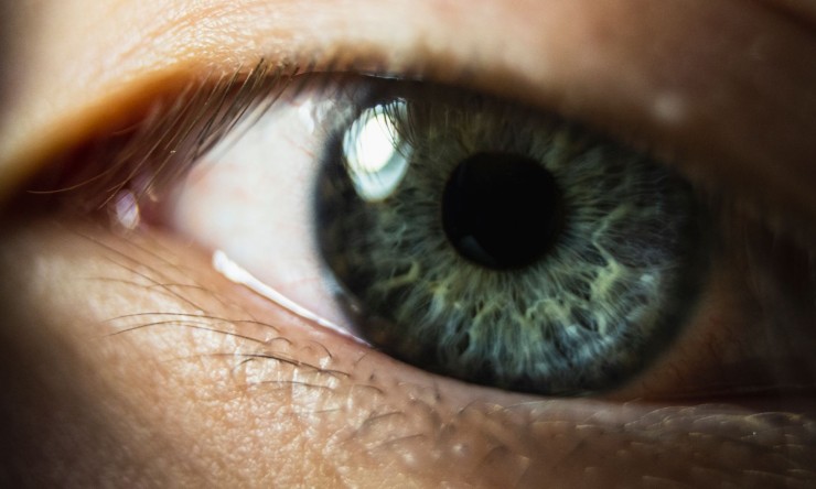 Your Eyes See the World Upside Down: The Truth About Vision