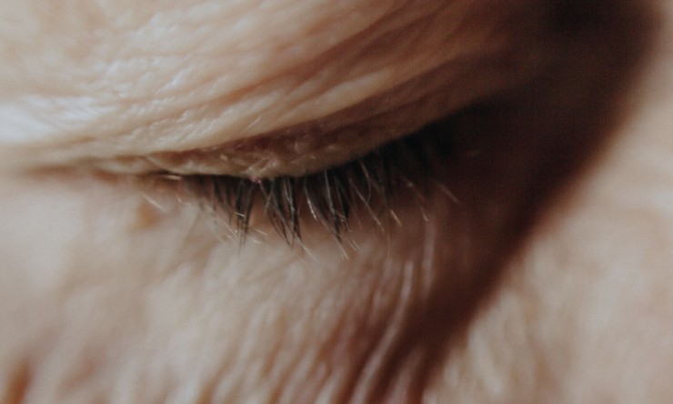 Seeing With the Heart Reveals Truth Beyond the Eyes
