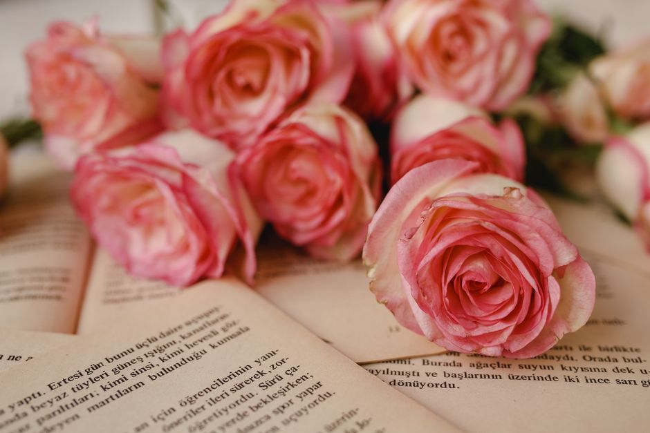 Beautiful pink roses placed on open books, creating a romantic and literary scene.