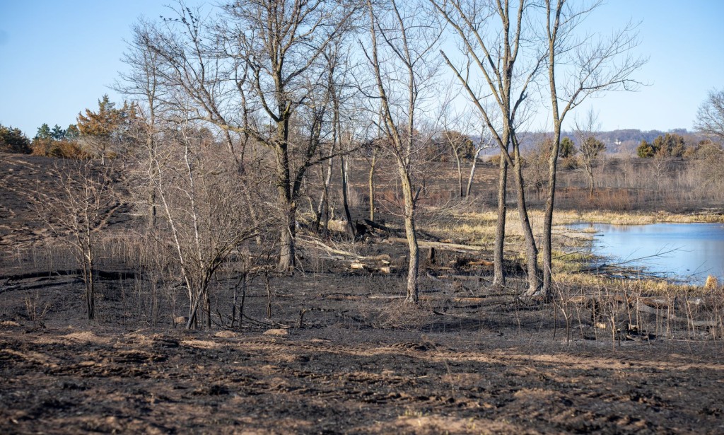 From Wasteland to Renewed Landscape: A Journey of Reclamation and Sustainability