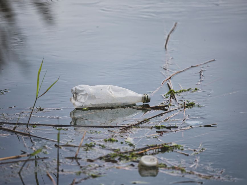 A discarded plastic bottle floating in a polluted water body, highlighting environmental issues.