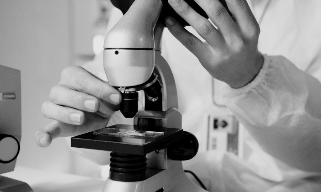 _The Meaning of Science: Understanding the Natural World_ Science is a term that is often used, but rarely defined