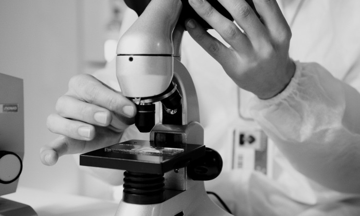 _The Meaning of Science: Understanding the Natural World_    Science is a term that is often used, but rarely defined