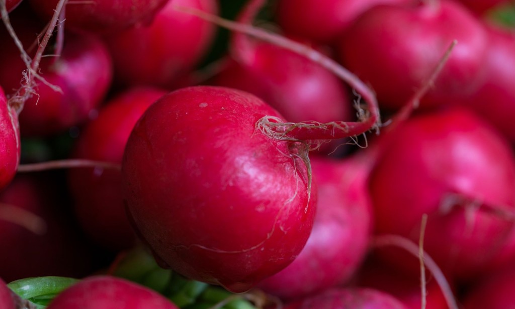 Radishes: A Superfood for Immunity, Digestion, and Weight Management
