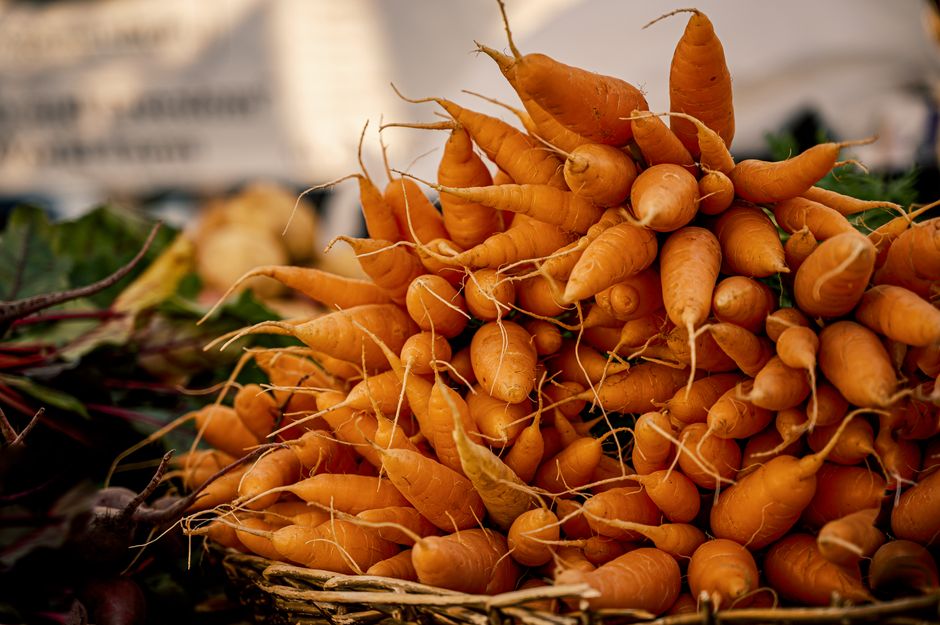 A vibrant display of fresh heirloom carrots at a farmers market, showcasing natural and organic produce.