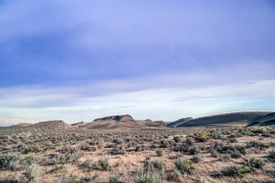 Magnificent view of random vegetation growing on dry terrain near hills in savanna against cloudy sky in nature in summer