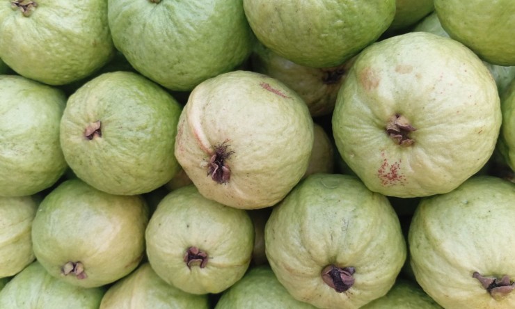 Benefits Of Guava ,raisins And Cashews:
