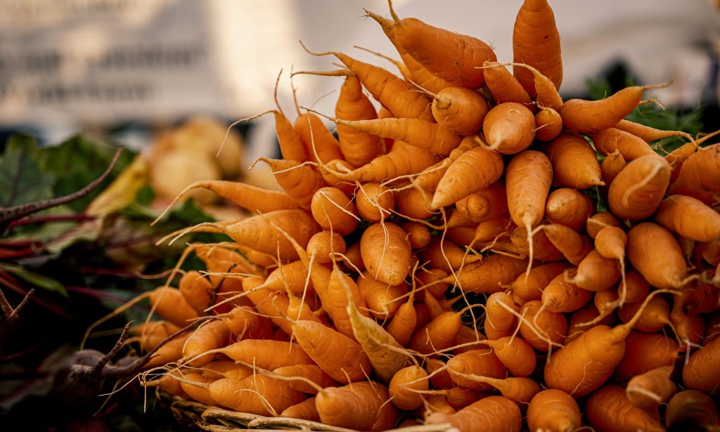 The Wholesome Force to be reckoned with: Investigating the Upsides of Carrots