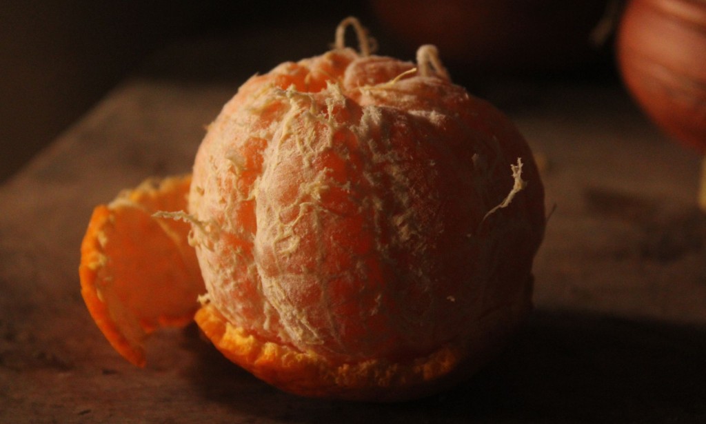 Tackling Nature's Power: Orange Strips as a Mosquito Repellent