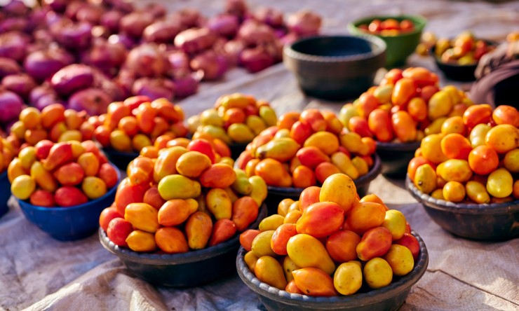 Healthy Food: Building Blocks for a Better, Longer Life