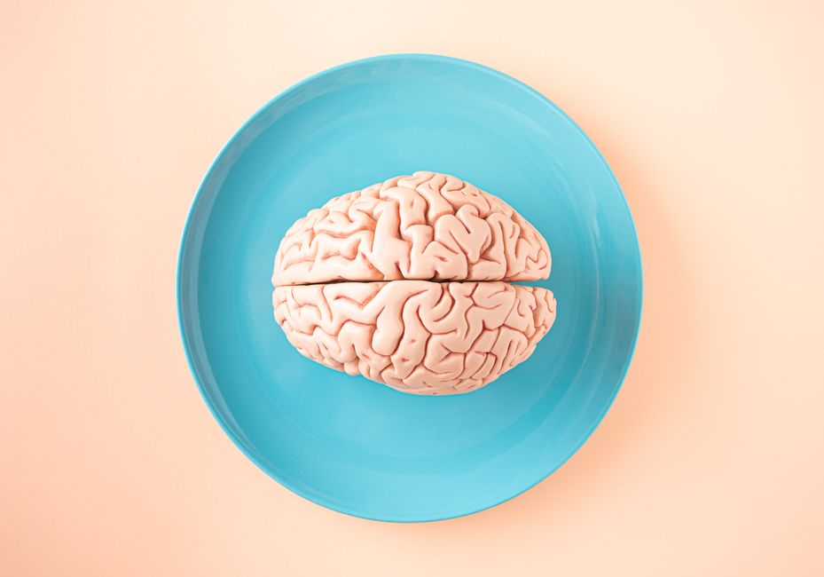 A human brain model placed on a blue plate, viewed from above against a pastel background.