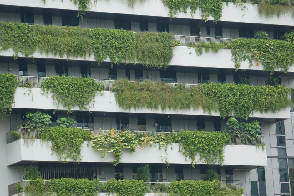 Eco-friendly building featuring lush greenery and sustainable design.